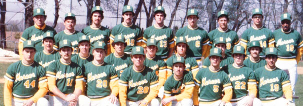 1981 baseball