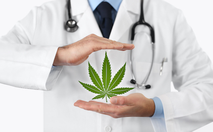 cannabis doctor 2023