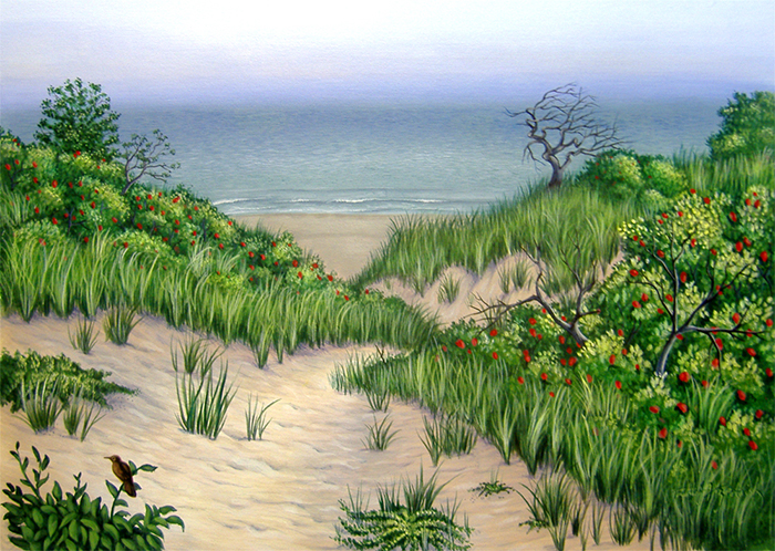 Beach Dunes